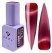 COLOR GEL POLISH CAT`S EYE "DNKa", 7 ml #0037 SILK FTCGP0037-7 фото 1