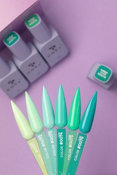 COLOR GEL POLISH NEW FORMULA "DNKa", 12 ml #0096 bi2-756 фото